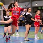 FSI supporte le club d'Handball USWE